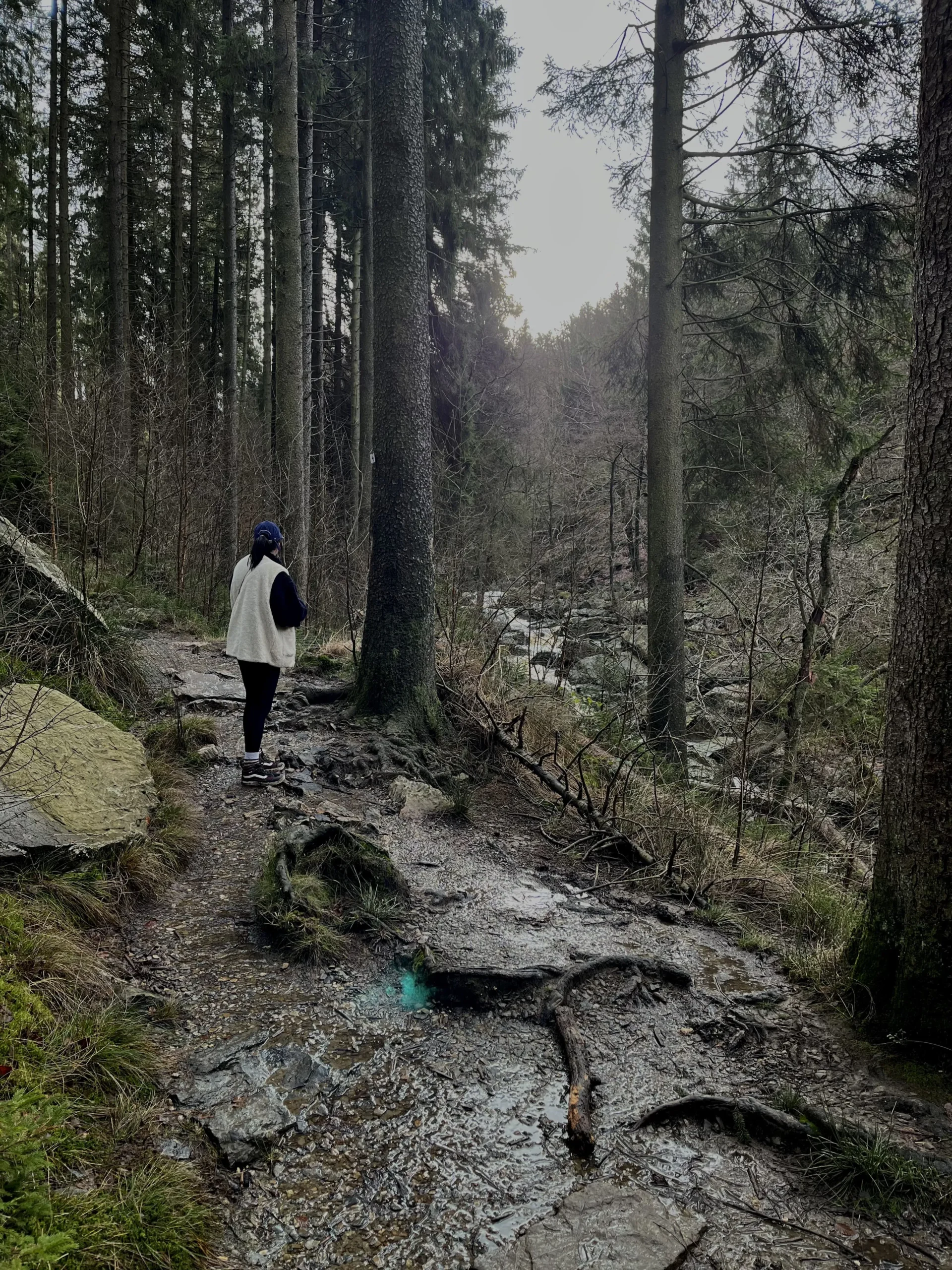 hiking